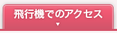 飛行機でのアクセス