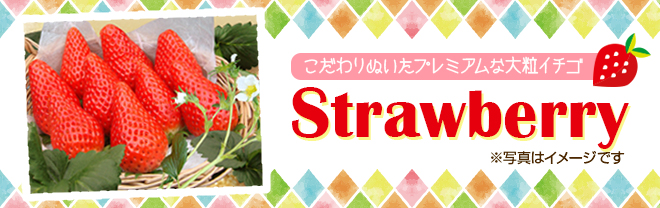 プレゼント