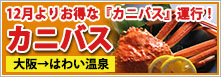 とO 12肨ȂɃoX^sI
